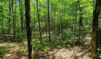 1905 Camp Munn Rd, Bradford, VT 05033