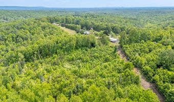 Ahart Ridge Rd lot 58 60 61, Ararat, VA 24053