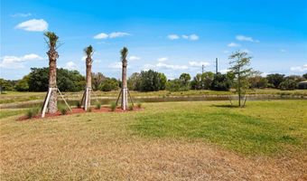 16621 Ash Grove Ln Lot 203, Alva, FL 33920