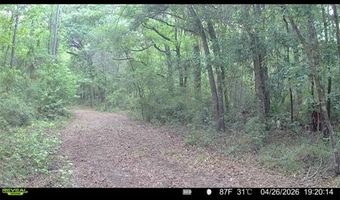 4814 NW 244 Ave, Alachua, FL 32615