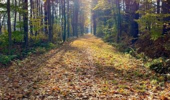 18 Phil St, Barre, VT 05649