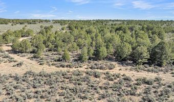 20 Acres Highway 285, Carson, NM 87577