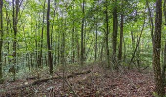 3 Ac Chestnut Flats Rd, Andrews, NC 28901