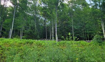 Lot # 19 Brush Hollow Road, Bovina, NY 13740