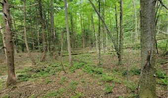 Keppy Carr Road, Amboy, NY 13493