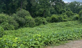 0 Creel Richardson Road Formerly College St, Ariton, AL 36311