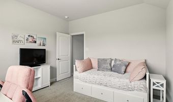 1203 Tiana St, Anna, TX 75409