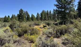 Bufflehead Drive 18, Bonanza, OR 97623