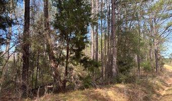 Conecuh River Church Rd, Andalusia, AL 36420