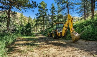 7301 Poudre Canyon Rd, Bellvue, CO 80512