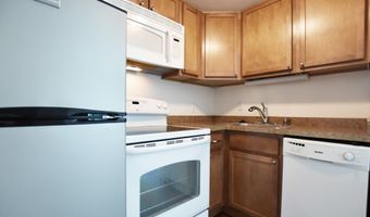 555 E William St 8K, Ann Arbor, MI 48104