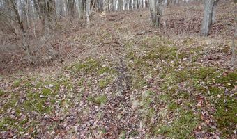 County Route 16, Angelica, NY 14709