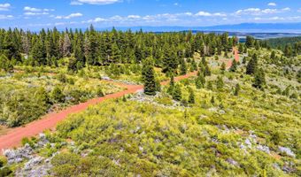 9653 Sportsman Dr, Alturas, CA 96101