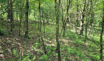 Tbd Old Mountain Road, Banner Elk, NC 28604