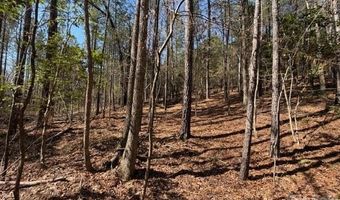 12 68 Acre 99 Rd, Blair, SC 29015