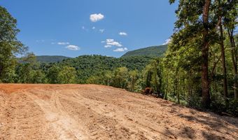 Lot 20 Clear Fork Creek Road, Bastian, VA 24314