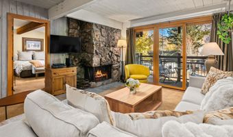 131 E Durant Ave 202, Aspen, CO 81611