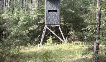 259 Forest Lake Rd, Beaumont, MS 39423
