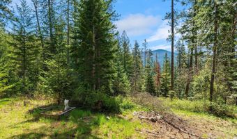 1142 Salee Creek Rd, Bayview, ID 83803