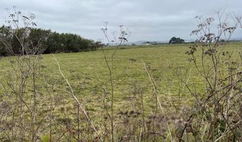 1127 Moxon Ln, Arcata, CA 95521