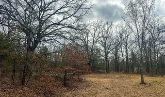 9696 Fm-515, Alba, TX 75410