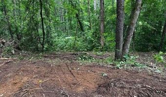 1089 Damascus, Ball Ground, GA 30107