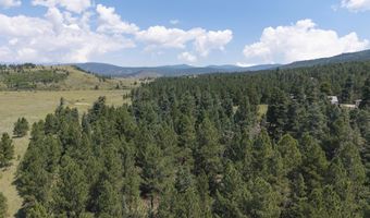 9 Buckskin Rd, Angel Fire, NM 87710