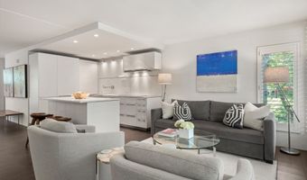 800 E Hopkins Ave A-3, Aspen, CO 81611