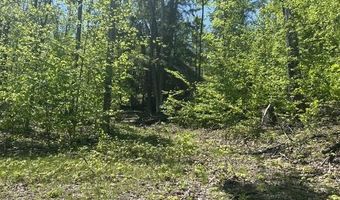 5436 Valley Rd, Alanson, MI 49706