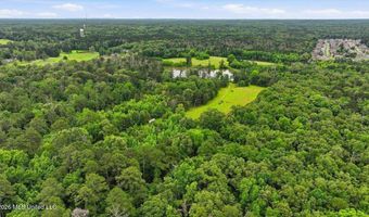 Vine Drive, Brandon, MS 39047