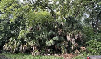 195 8th St Lot 7/170, Apalachicola, FL 32320