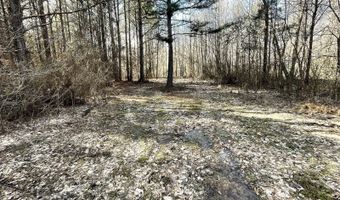 0 CR 437, Ashland, MS 38603