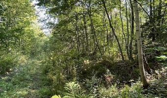 Lot 53 Robb Hill Road, Alexander, ME 04694