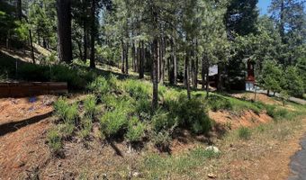 2904 Venado Dr, Arnold, CA 95223