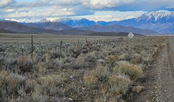 1981 Blizzard Mountain Rd, Arco, ID 83213