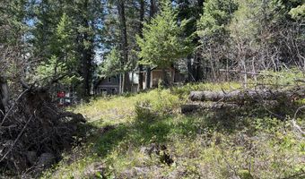 716 Echo Lake Rd, Bigfork, MT 59911