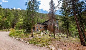 11336 County Road 742, Almont, CO 81210