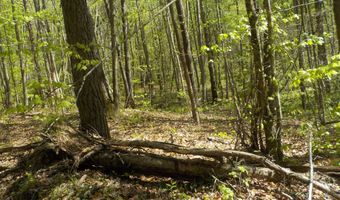 Steve Brown Road, Bean Station, TN 37708