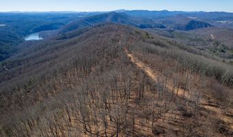 Stoots Mountain Rd. lot 31-A-109, Austinville, VA 24312