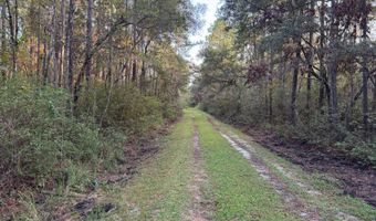 Lower Bay Road, Bay St. Louis, MS 39520