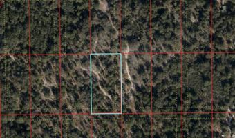 TBD NE 96 Street, Archer, FL 32618