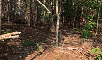 Rock House Road, Blacksburg, SC 29702