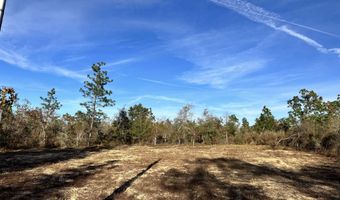 3015 Castillo Dr, Alford, FL 32420