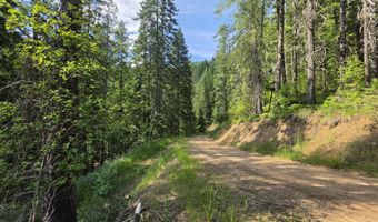 480 Dunn Peak Rd, Avery, ID 83802