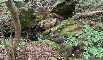 Hall Hollow Road, Austinville, VA 24312