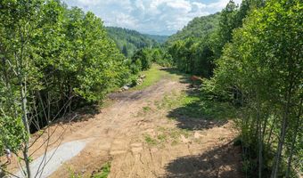 8888 Highway 28, Almond, NC 28702