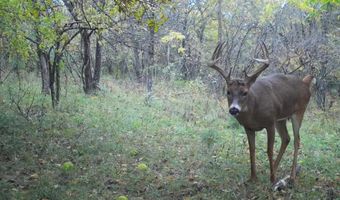 197 Th Trl, Albia, IA 52531