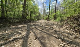 0 Hale Ridge Rd, Beattyville, KY 41311