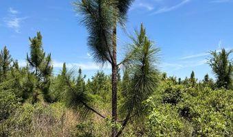 County Road 38, Autaugaville, AL 36003