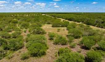 County Road 119, Alice, TX 78332